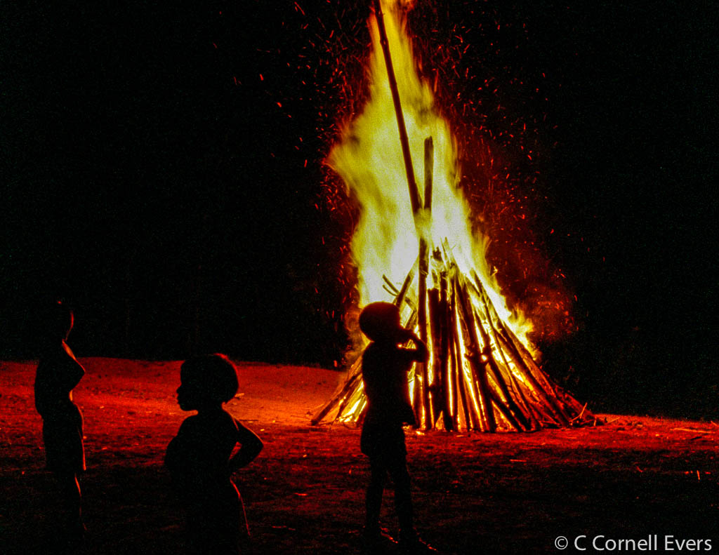 Gaat de katholieke kerk de Amazone redden?