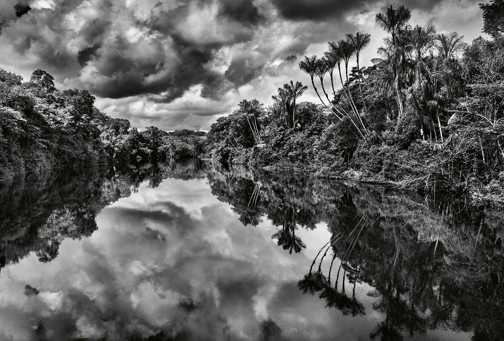 Fotograaf en beschermer Amazone Sebastião Salgado overleden