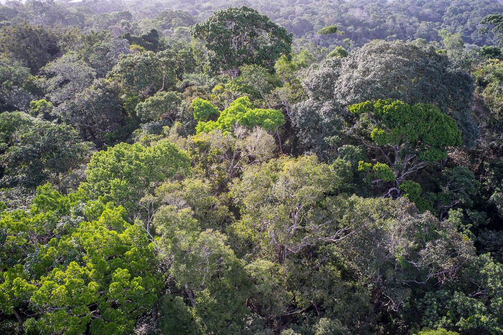 Wie redt de wondere wereld van de Amazone en daarmee het klimaat? Deel 2
