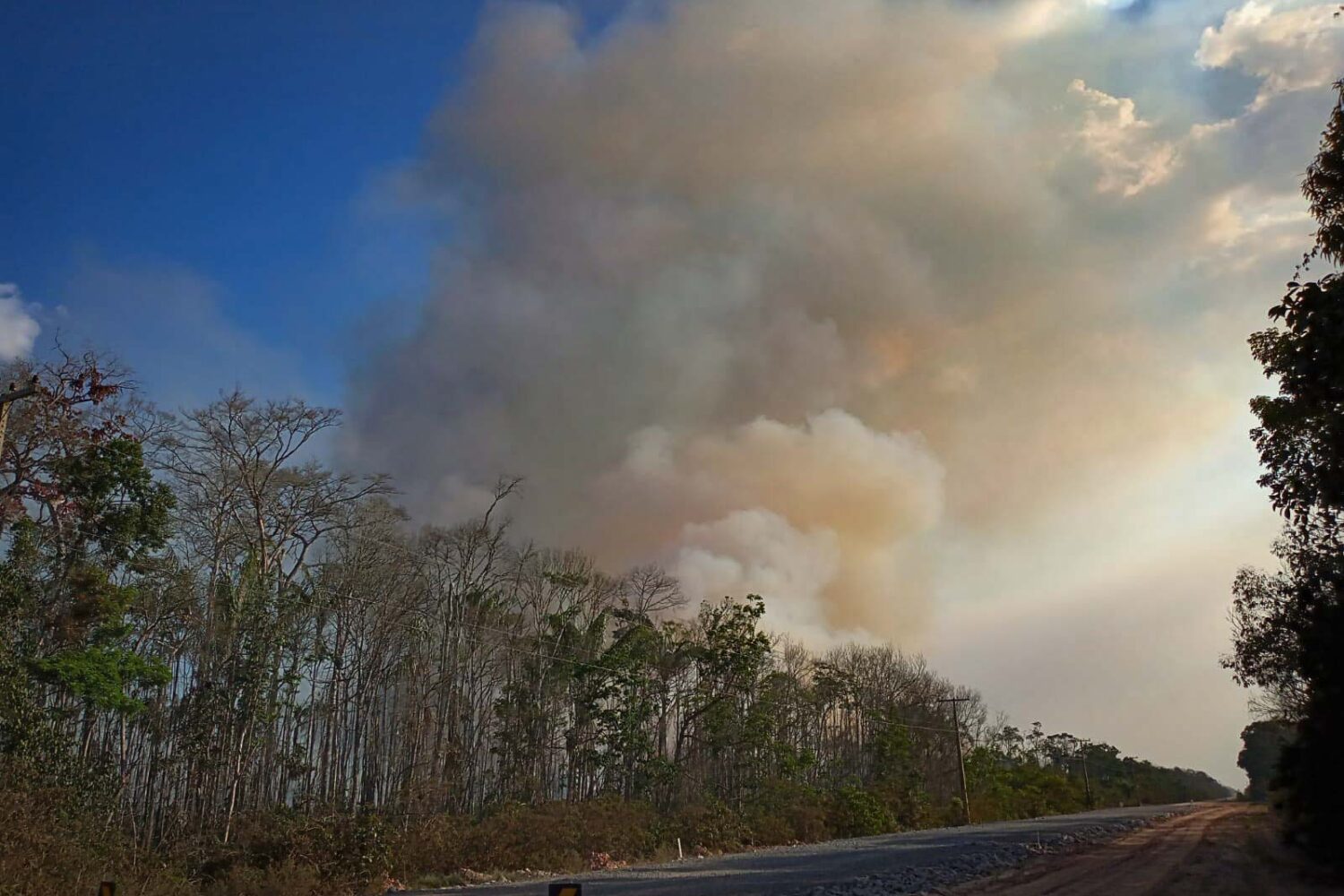 Amazon “arc of deforestation” vulnerable to drought