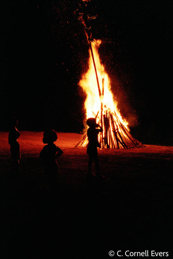 Een Hangmat in de Amazone 7
