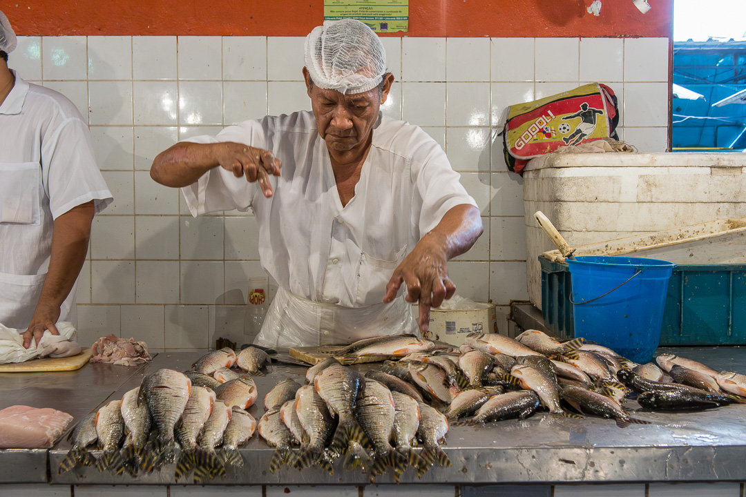 cornell120503|0503msabDSC0036
